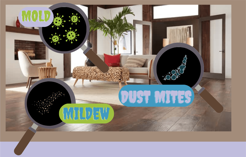 Flooring and Indoor Air Quality: Your Guide to Allergen-Free&nbsp;Living